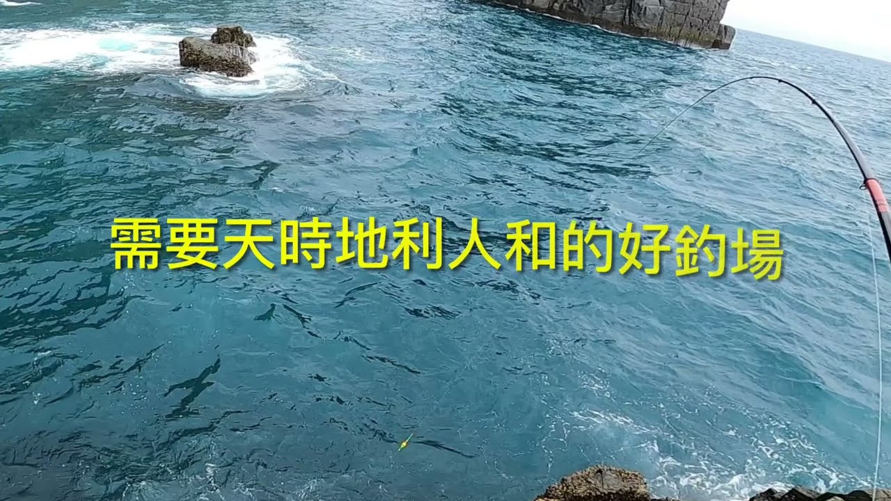 輕裝磯釣-東引怪物礁-黃雞魚 黑毛