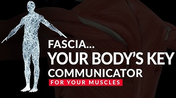 Fascia: The Key Body Communicator for Your Muscles