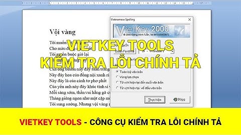 Phần mềm kiểm tra lỗi chính tả vietkey năm 2024