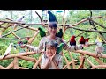 Kasih Makan Burung Banyak Sekali, Burung Nuri, Burung Kakatua, Parrot