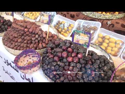 وادي حضرموت: ثروة النخيل... تراث زراعي وازدهار اقتصادي