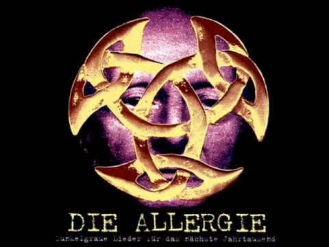 Die Allergie — Die Allergie Kollision