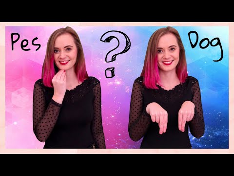 Video: Je americký a kanadský znakový jazyk stejný?