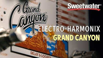 Electro-Harmonix Grand Canyon Delay and Looper Pedal