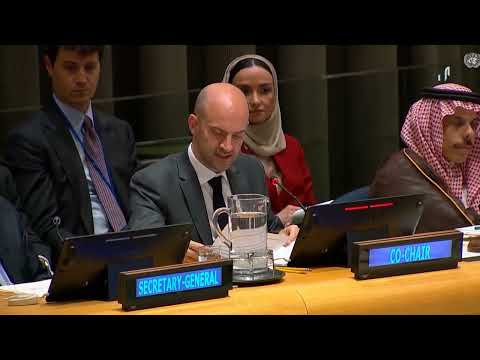مؤتمر الأمم المتحدة حول القضية الفلسطينية: دعوات لحل الدولتين