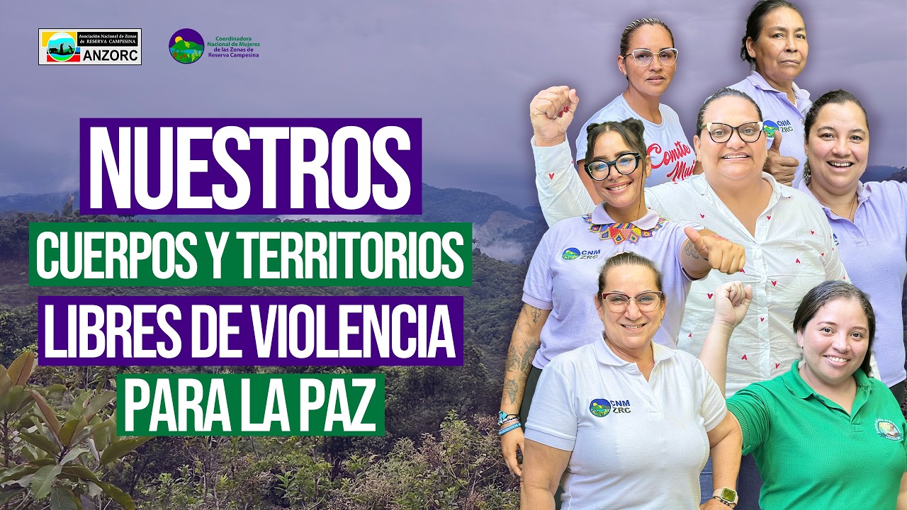 Conoce a la CNMZRC