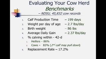Beef Heifer Development Series, Part 1, with OSU Beef Specialist Dr. Steve Boyles