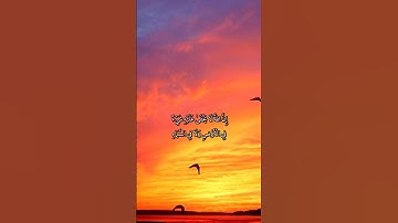 تلاوة هادئة بصوت عبدالرحمن مسعد #قرآن_كريم #اكسبلور #المصحف #قرآن #quran #عبدالرحمن_مسعد #راحة_نفسية