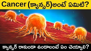 Cancer Explained in Telugu | What is Cancer? Causes, Symptoms, Stages, Types in Telugu Badi