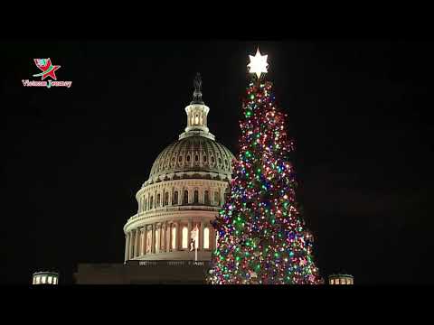 Video: Capitol Cây thông Noel ở Washington, D.C