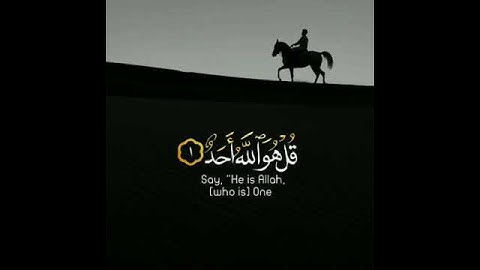سوره الاخلاص | بصوت القارئ ماهر المعيقلي | حالات واتس اب دينيه♥♥.