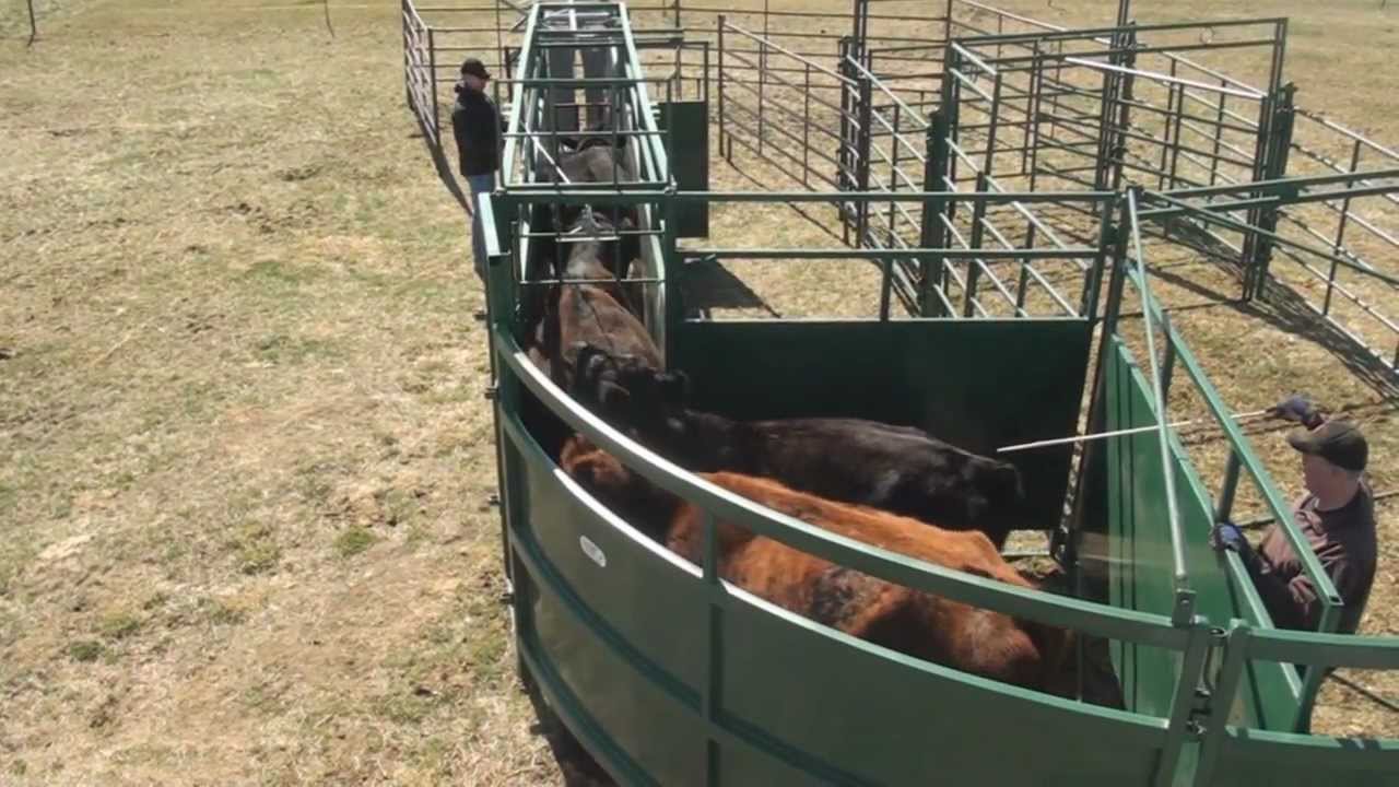Corbin Steel Cattle Tub Sweep Demonstration