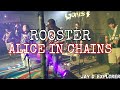 ROOSTER - ALICE IN CHAINS (Cover)