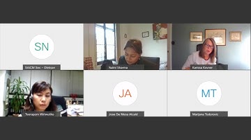 VWG 2 on Governance and implementation - 4th Session, 3 December 2020