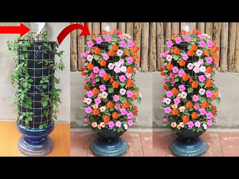 Video: Flower Garden Tricks – Cómo cultivar un jardín de flores con éxito