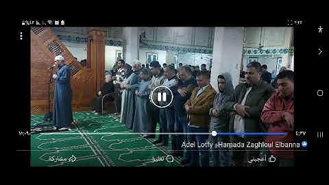 تلاوة من سورة النبا في صلاة العشاء💛 للقارئ الشيخ محمد محمود🧡🧡🧡