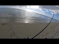 Ep5 easiest way to catch trevalliescarrangue from shore fishing beach mauritius