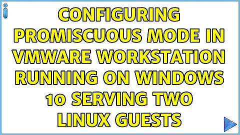 Configuring Promiscuous Mode in VMware Workstation running on Windows 10 serving two Linux guests