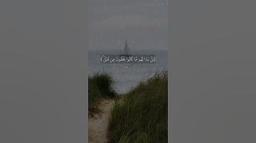 تلاوة الشيخ محمد اللحيدان