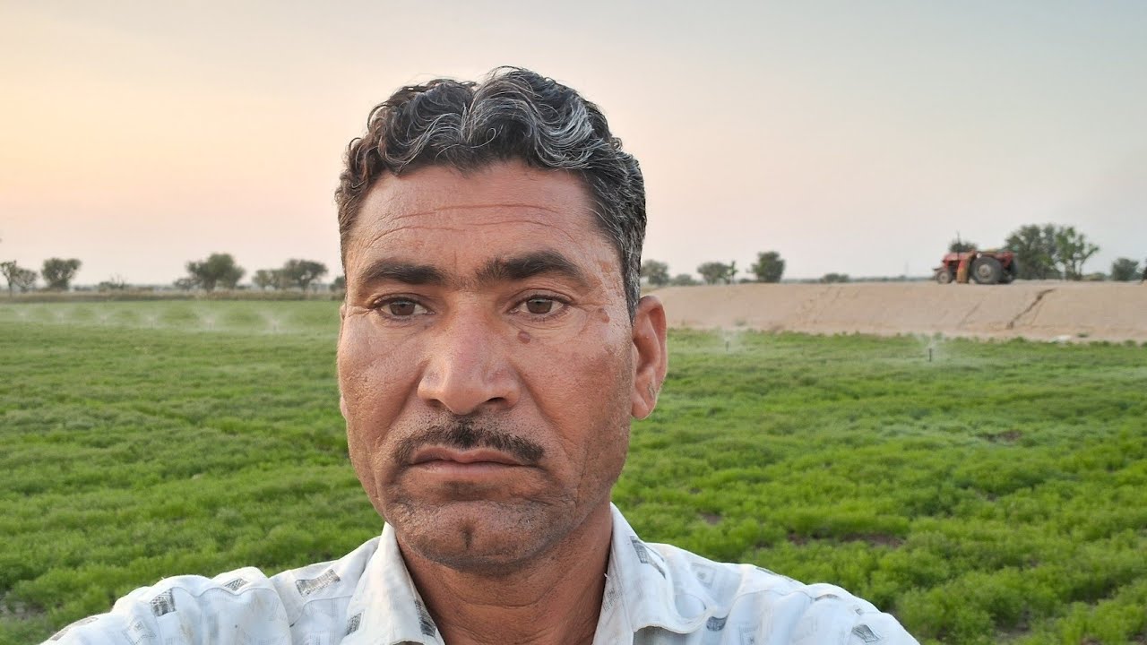  जीरा कि फसल का नजारा  ,घटेलो कि ढाणी ,तह : मेङता सिटी  जिला नागोर ( राज: ) H .R .Ghatela 6376889701