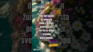 🌺 UMJETNOST STRPLJENJA 🌺#promjena#psihologija#strah#slowdown#sort#innerpeace#istina#duhovnost#fokus