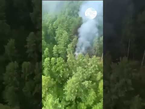Кадры с места крушения Ан-24 в Амурской области