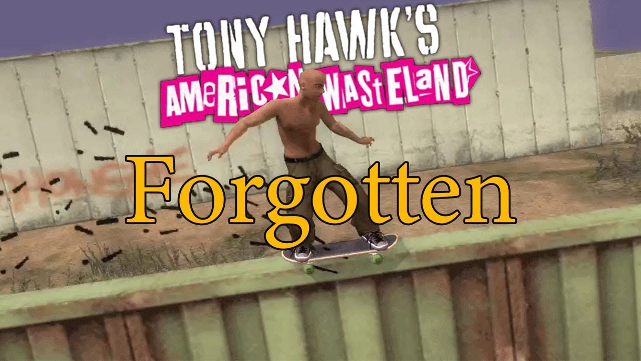 Tony Hawk's American Wasteland by BrasterTAG on DeviantArt