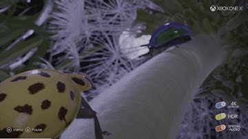 Insects demo on xbox one x 4k HDR