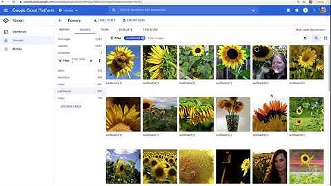 1 3 intro google vs apple automl