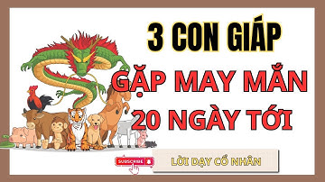 Tử Vi 20 Ngày Tới: 3 Con Giáp May Mắn Hợp Vía THẦN TÀI | LỘC ĐẦY NHÀ, Tiền Bạc Ùn Ùn Về | Phong Thủy