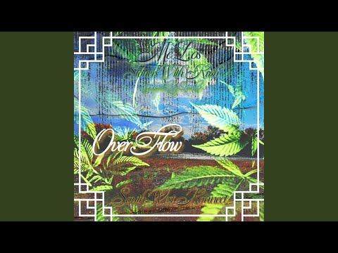 Guarda Overflow su YouTube Guarda Overflow su YouTube