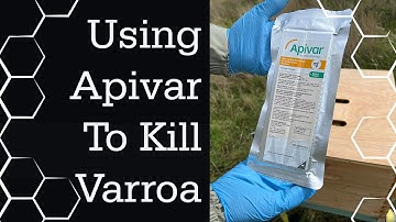 How to use Apivar treatment to fight Varroa