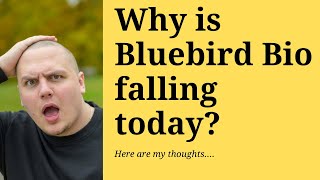 Why is Bluebird Bio share dropping today? Here are the things we need to know.