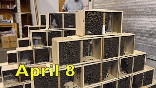 Mid April Odds & Ends at Blue Ridge Honey Co.