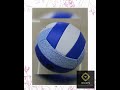 Genuine No. 5 Volleyball Blue and White Porcelain High-foaming Volleyball