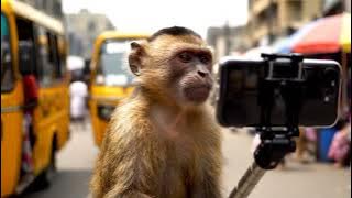 249ec7a3 50f3 40dc b7c2 4cce04cd9349