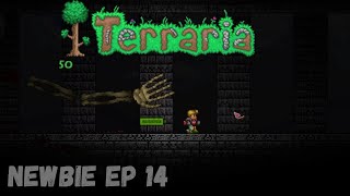 Terraria 1.4 – Skeletron?! - Newbie Player Let’s Play