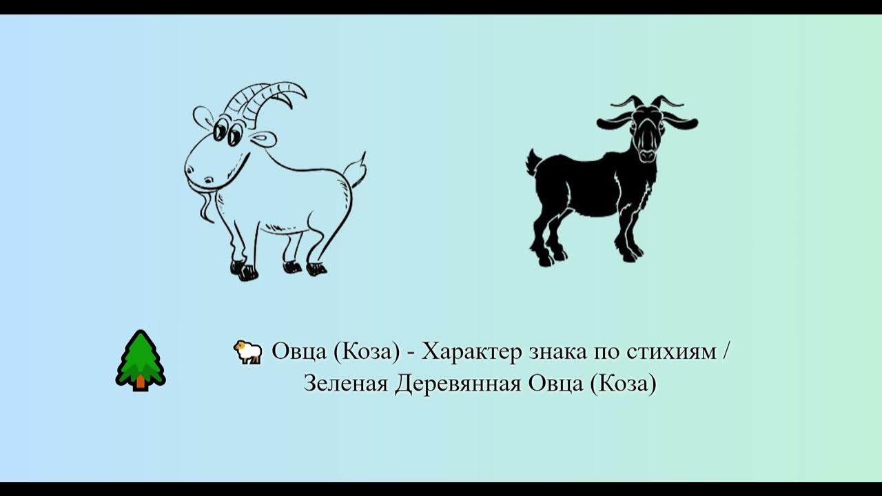 Козы ламанча. Коза характер. Коза характер. Год козы. Животные 2027.