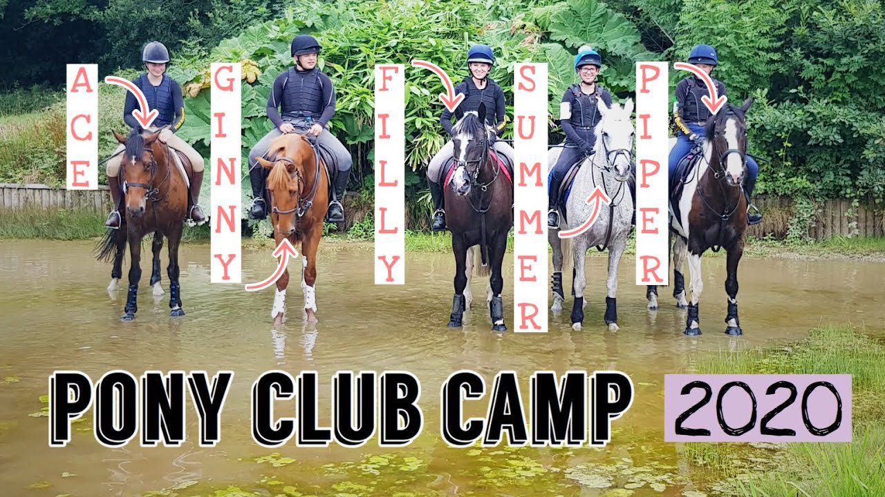 Pony club camp 2020! YouTube