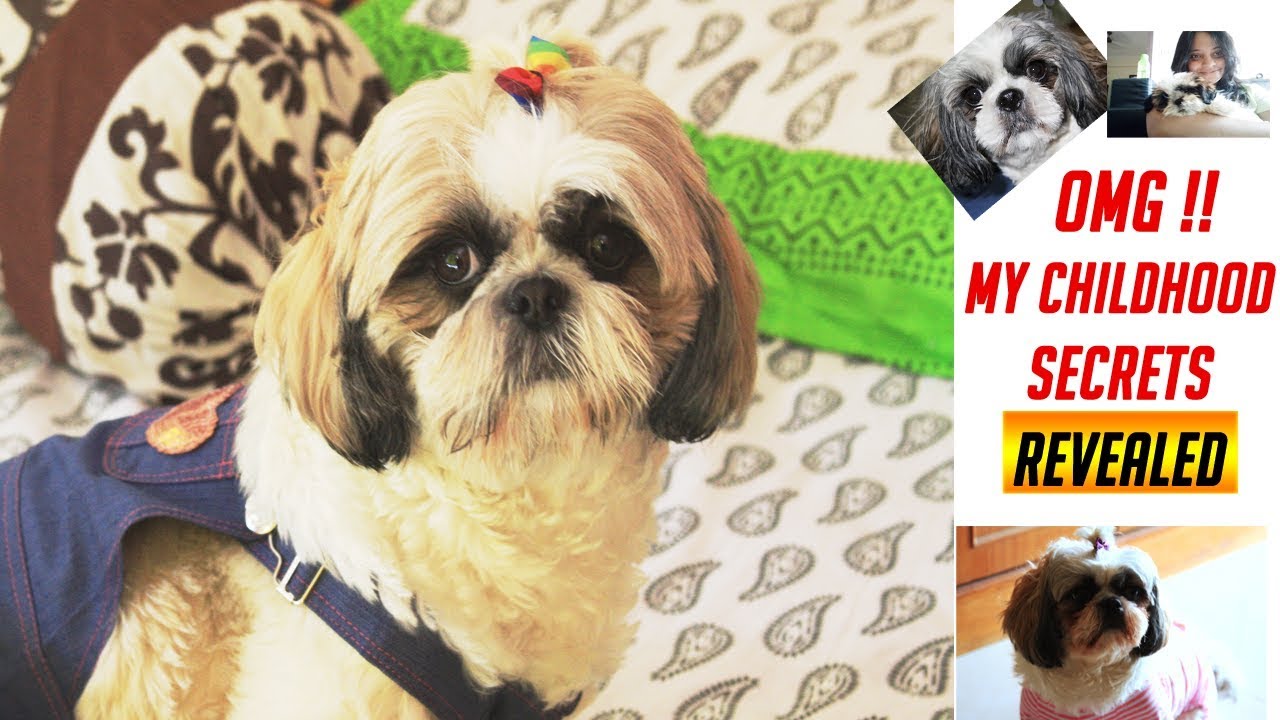 And then my childhood secrets revealed | Flurry Decoded in first Vlog ever | Wags & Hugs