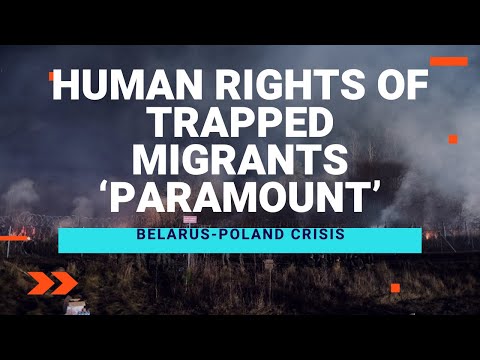 वीडियो: 24 नवंबर से बेलारूस से उत्पादों के पारगमन पर मजबूत नियंत्रण