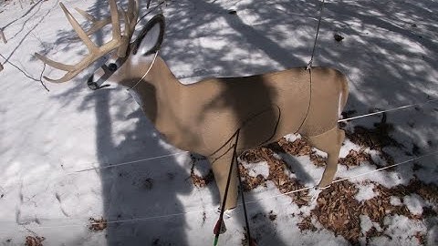 Moving 3D Buck Target Idea