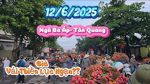 CẬP NHẬT CHỢ VẢI THIỀU LỤC NGẠN TẠI NGÃ BA TÂN QUANG I NÚI ĐỒI LỤC NGẠN