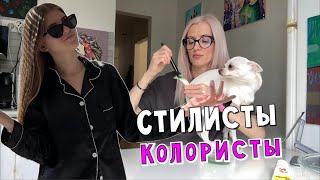 Стилисты - колористы в деле. Красим Добби. Продолжаем Пасху. Мой день