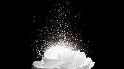 دعاء اصبحنا واصبح الملك لله من اذكار الصباح تصوير وإخراج عمرالثقفي