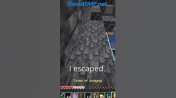 Teleporting To A TP Trapper WITH NO ARMOR (Donut SMP)