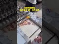 Bone chopper" "Bone cutter" "Fully automatic bone chopper"