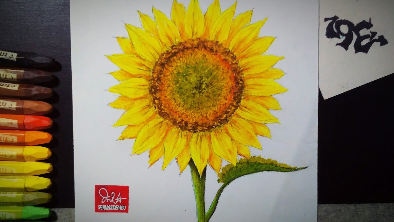 How To Draw And Color Sunflower With Oil Pastel Tutorial For Kids How To Draw And Color Sunflower With Oil Pastel Tutorial For Kids