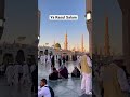 2023 Masjid Nabawi ❤️ #medina #masjidnabawi #prophetmuhammad #islam #muslim #allah #allahuakbar