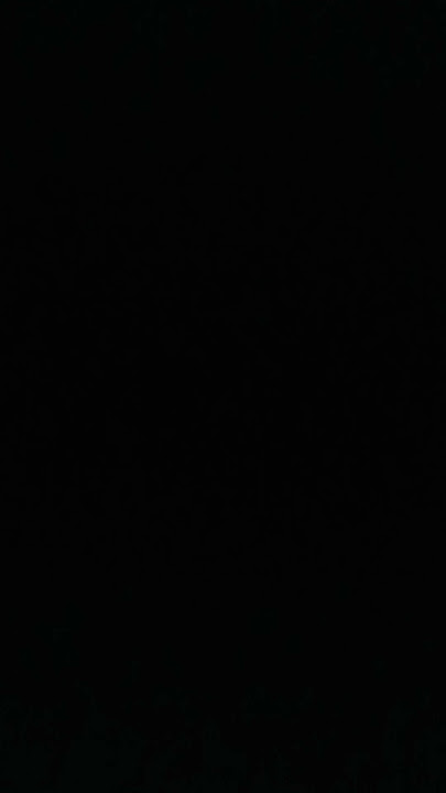 the sowjn (reversed)